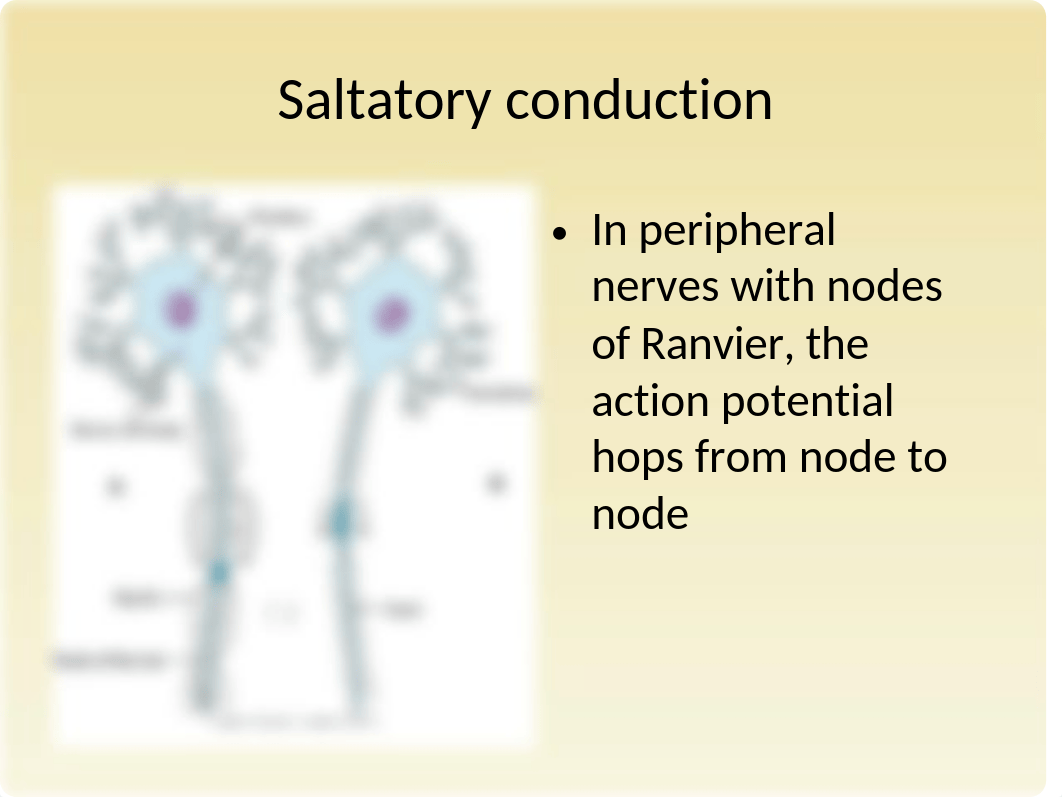 NEUROLOGICAL ppt (1).ppt_dudtruwxhat_page4