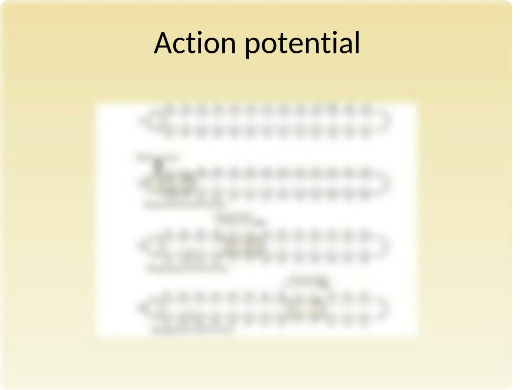 NEUROLOGICAL ppt (1).ppt_dudtruwxhat_page5