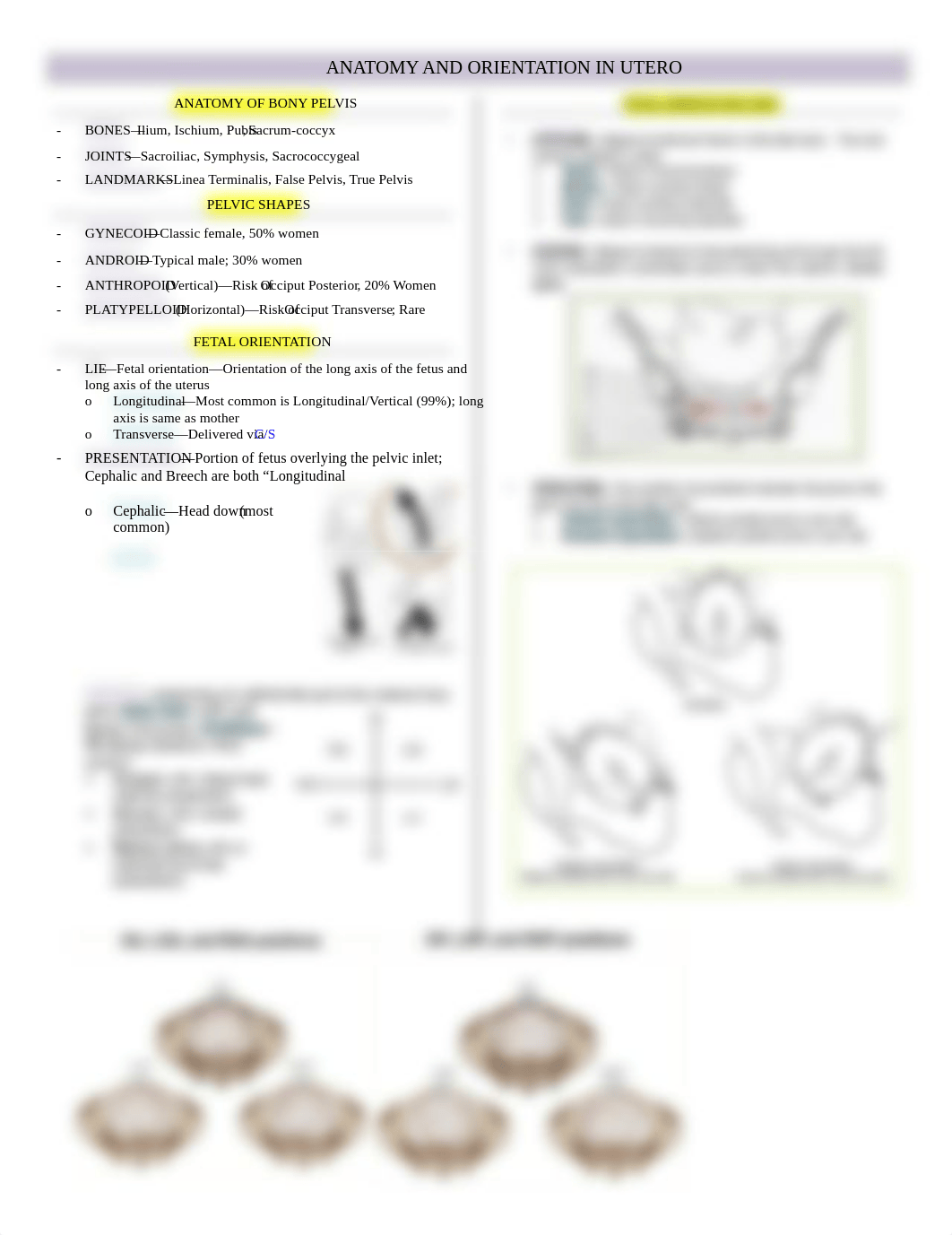 OBGYN - Fetal Orientation - BL_duduesm4hwh_page1