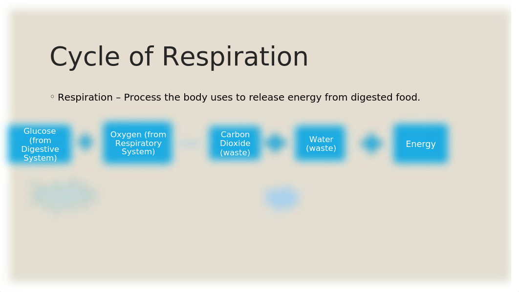 COPD Presentation.pptx_duduf1vzb3o_page4