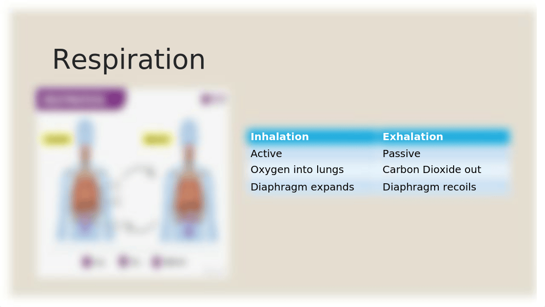 COPD Presentation.pptx_duduf1vzb3o_page5