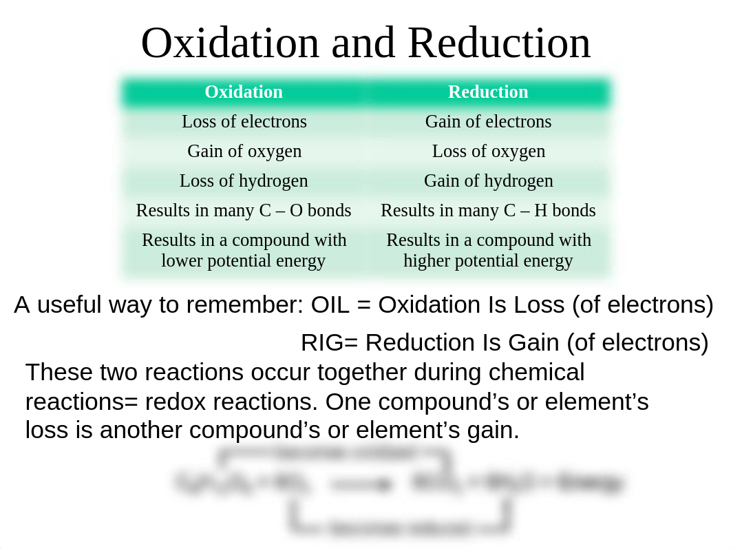 CellularRespiration.ppt_dudvivqj60q_page4