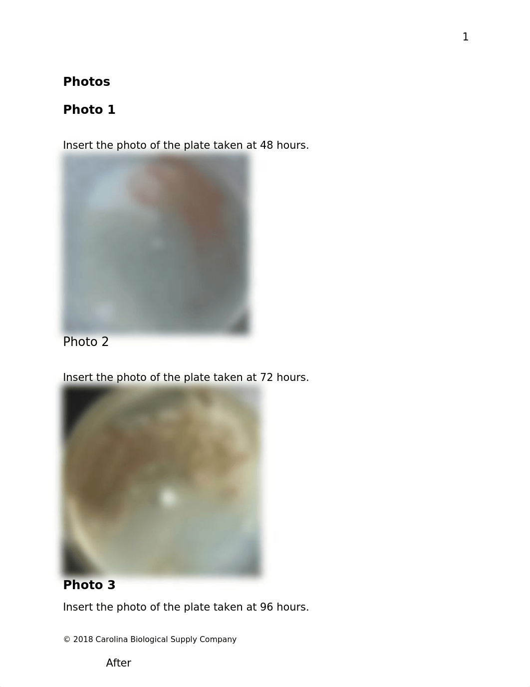 580754 Isolation Streak Plate Technique Q.docx_due5qjfd4oj_page2