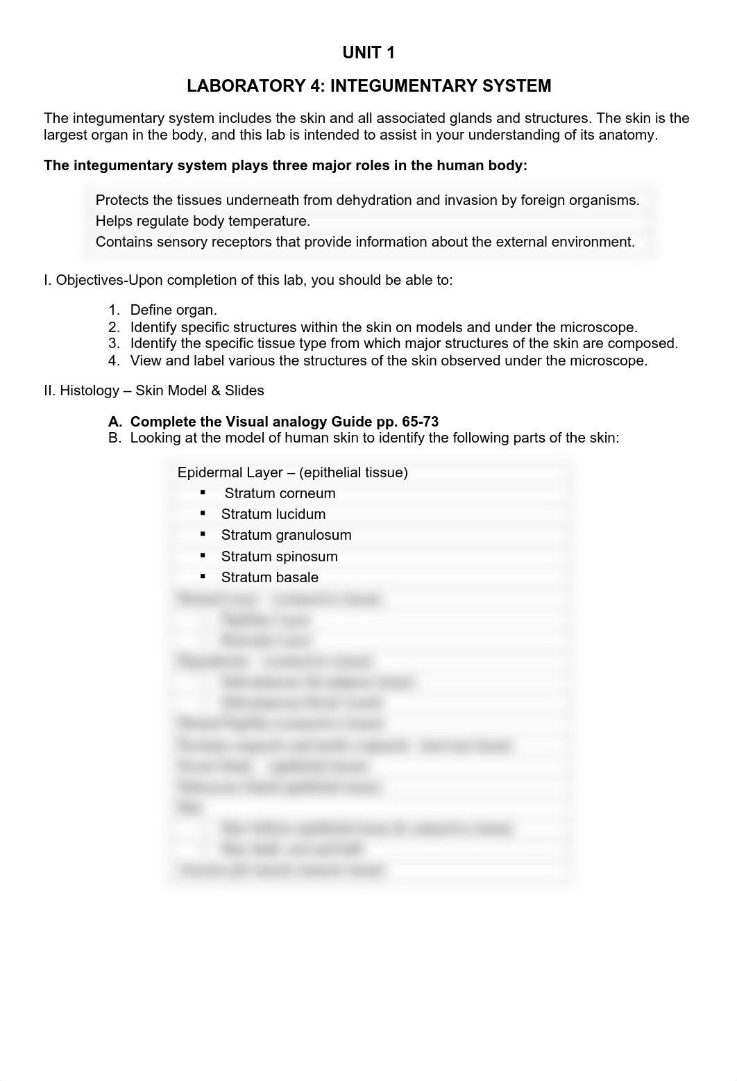 Unit 1 - Lab 4 Online_Integumentary Lab (3).pdf_due7eeesd2y_page1