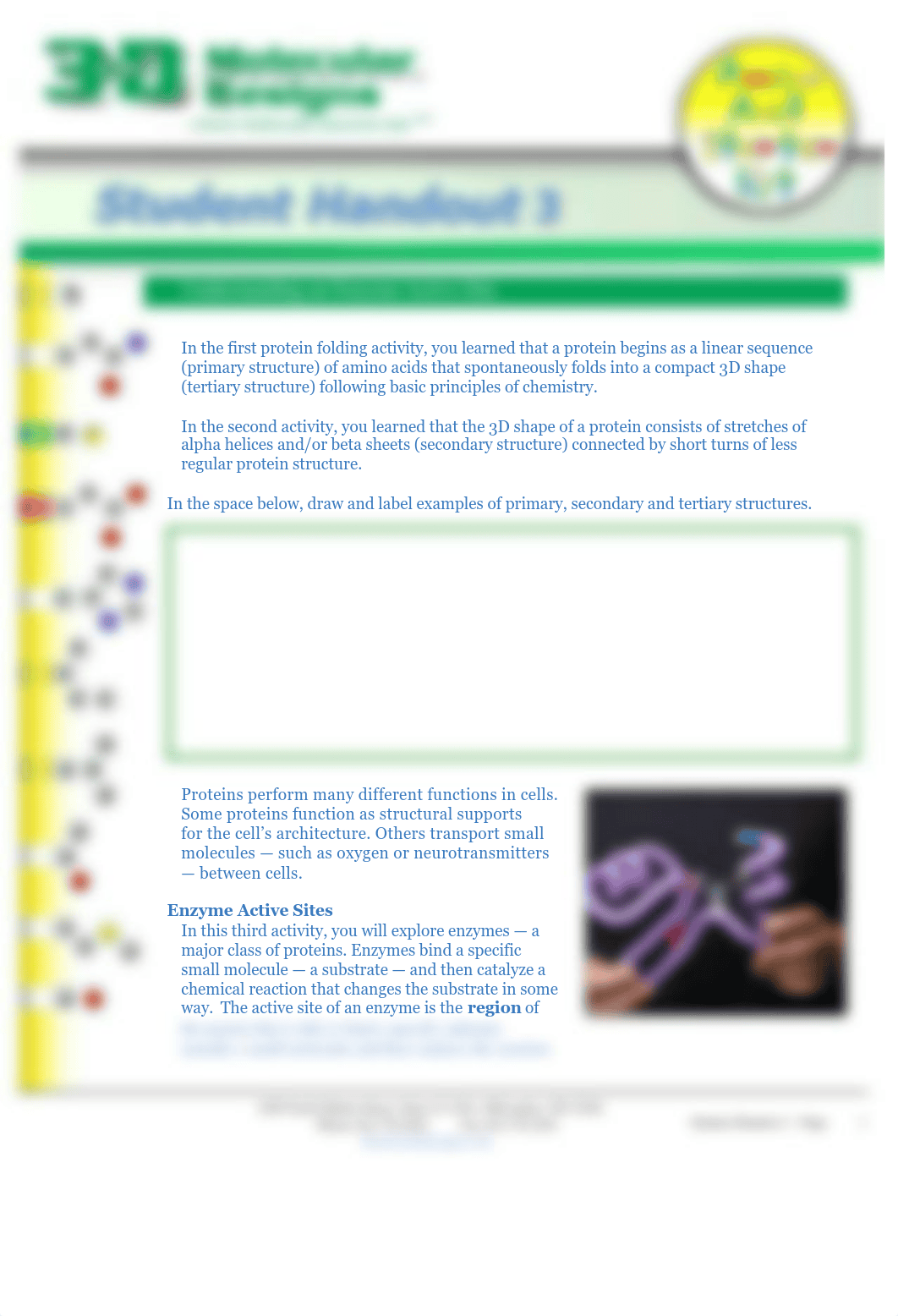 Amino Acid handout 3.pdf_duejypyjqu3_page1