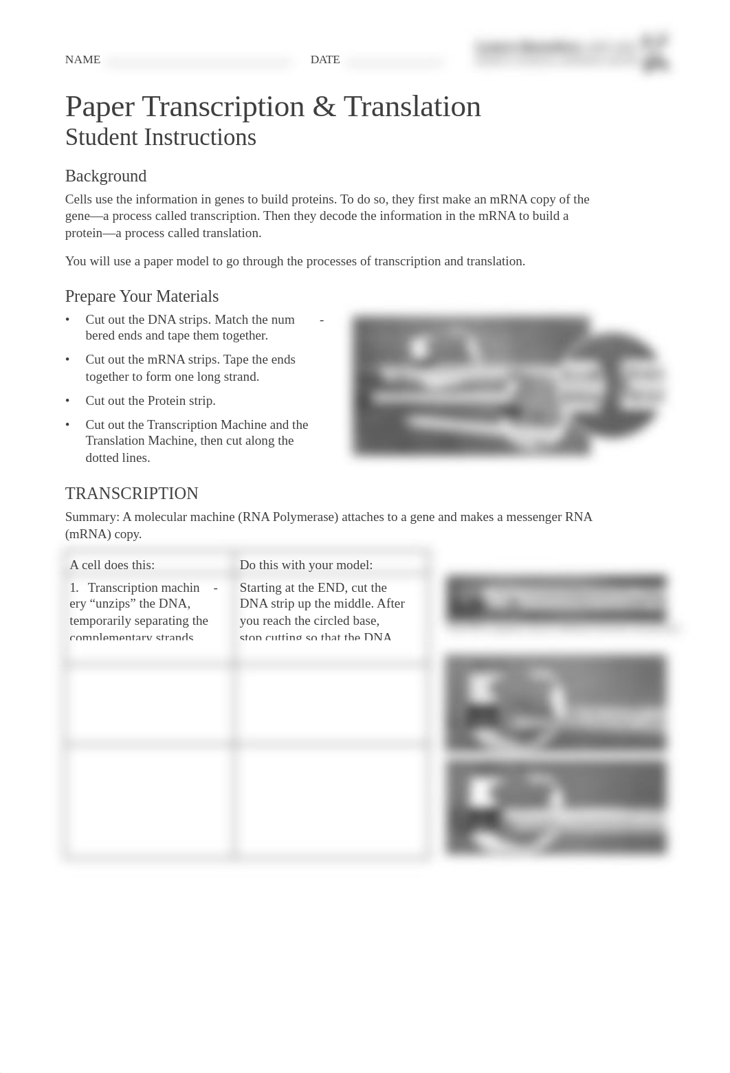 Transcription Translation lab packet.pdf_duenunelt4c_page1