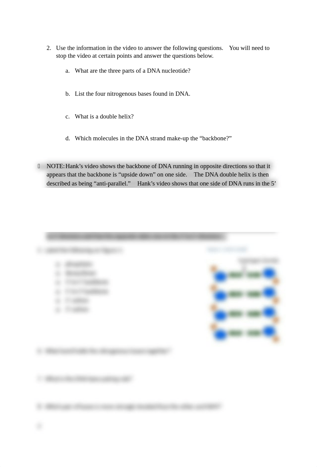 RNA & DNA Gene Expression Lab.docx_duetrg2spbd_page2