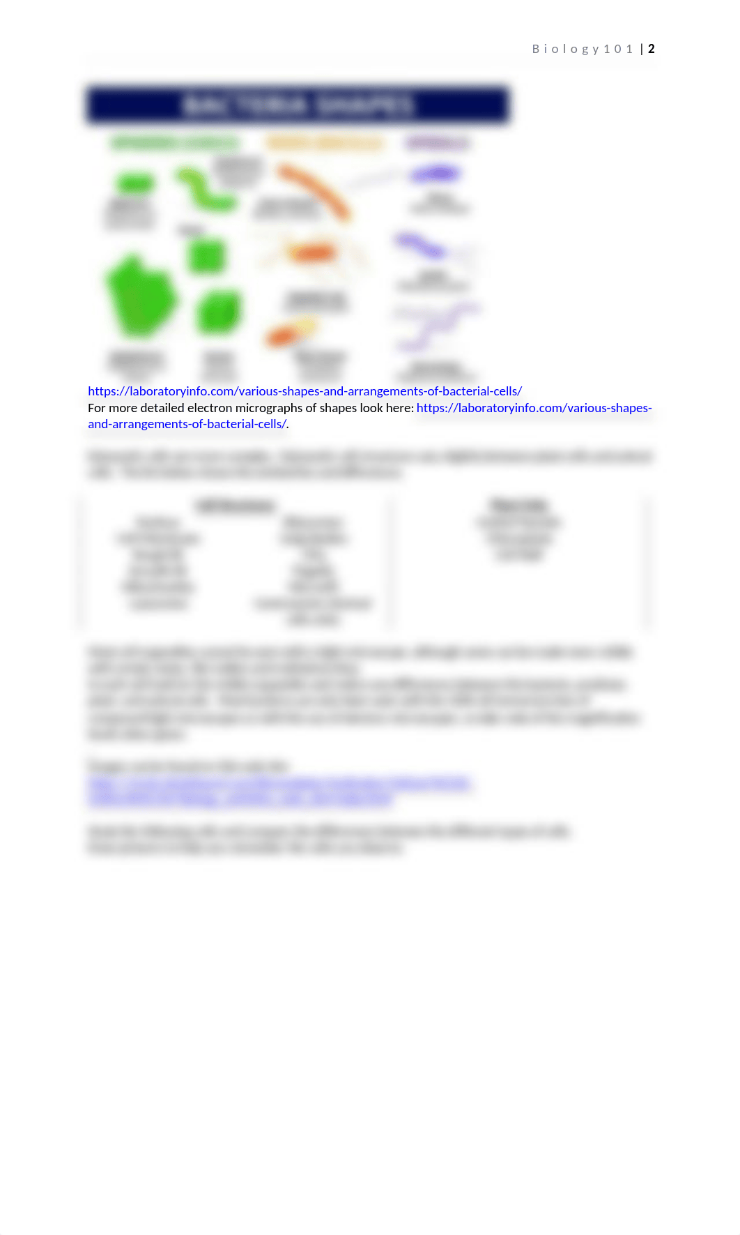 Saeed Lab5 Cell Comparison.docx_dueymll0ob9_page2