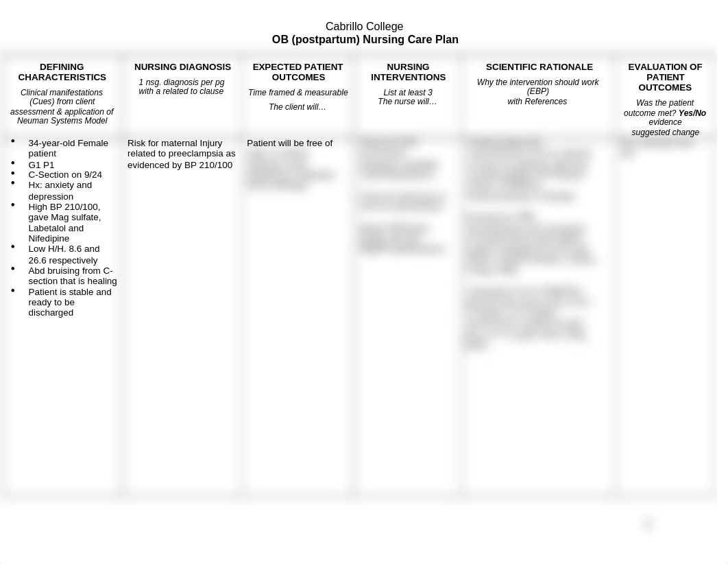 postpartum Care Plan.docx_duf1ay4n9hw_page1