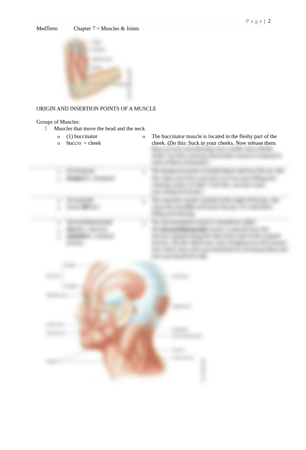 med term chapter 7 just in caser.docx_duf5pzrredo_page2