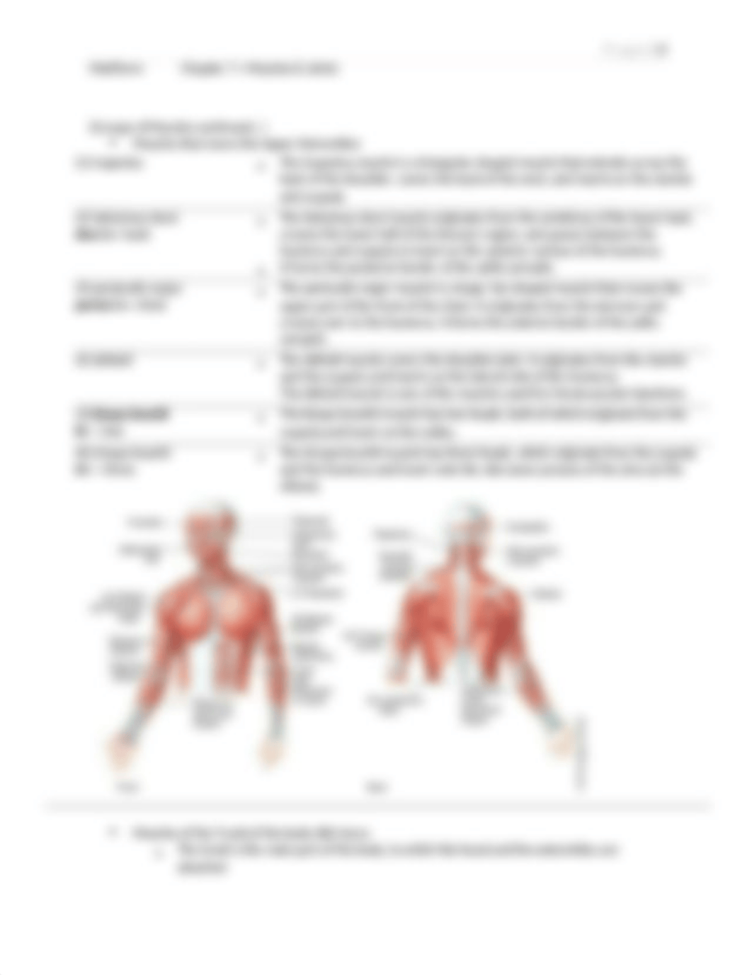 med term chapter 7 just in caser.docx_duf5pzrredo_page3