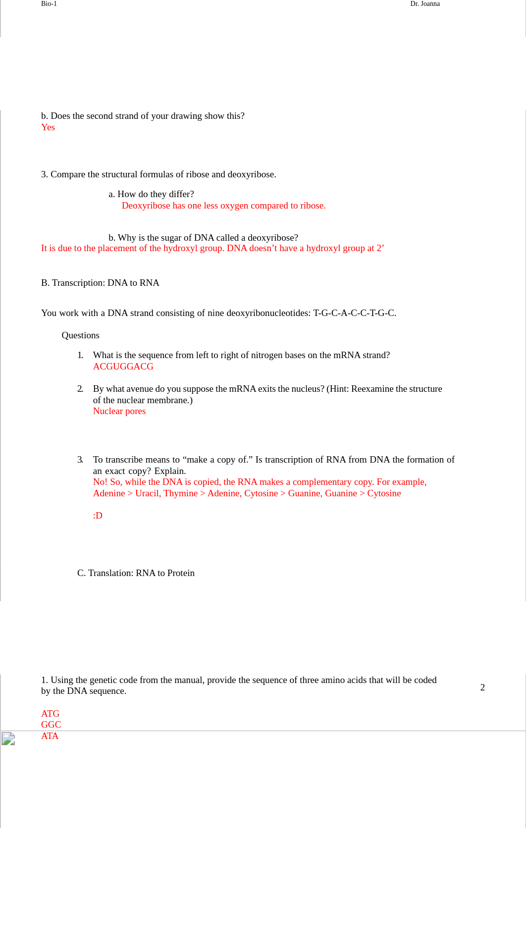 Lab13Report.NucleicAcidsBio1.pdf_duf990nwqf2_page2