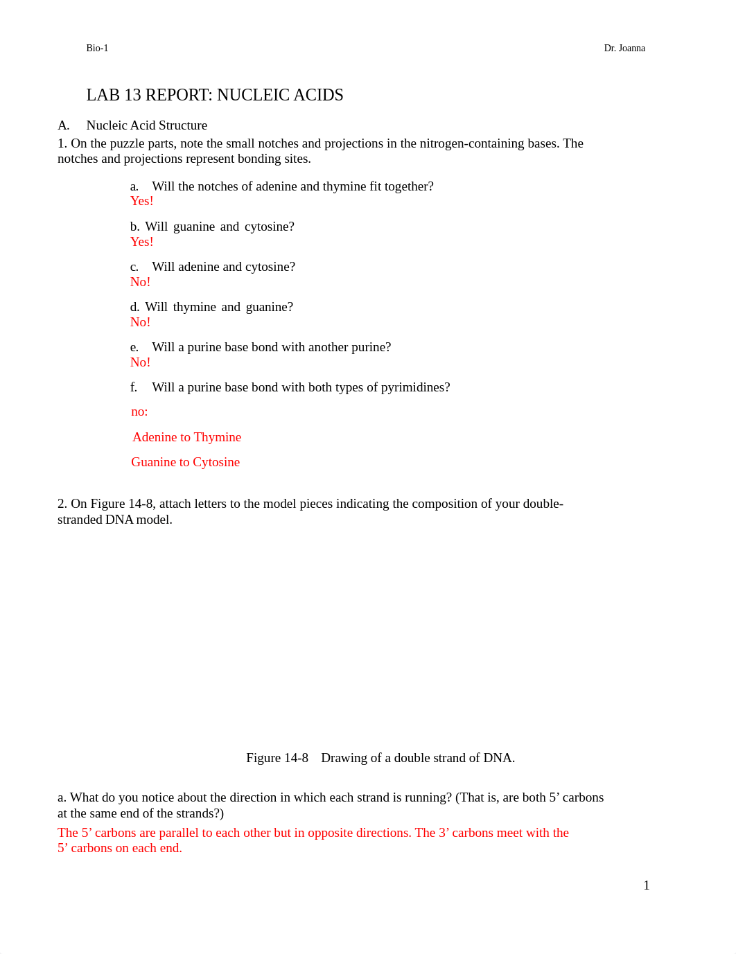 Lab13Report.NucleicAcidsBio1.pdf_duf990nwqf2_page1