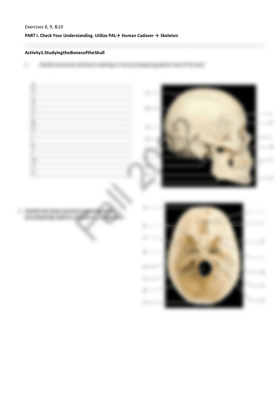 5. Unit 5 laboratory exercise 8, 9, & 10 EDIT.pdf_duffafk1rbn_page4