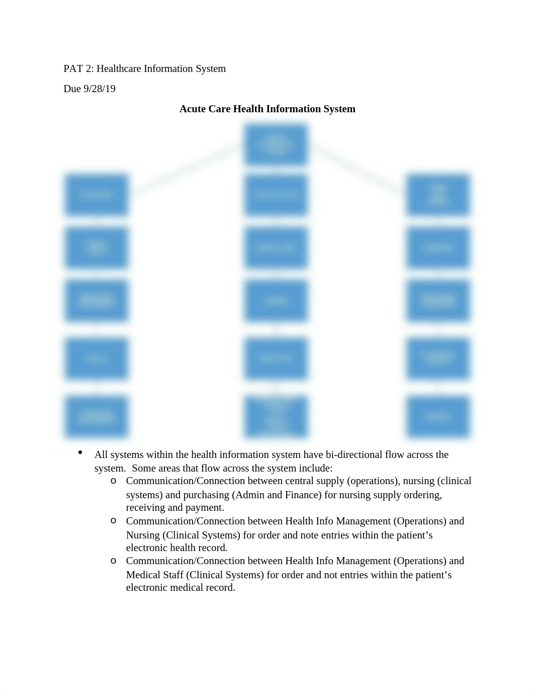 PAT 2 Health Information System.docx_dufjwhujmma_page1