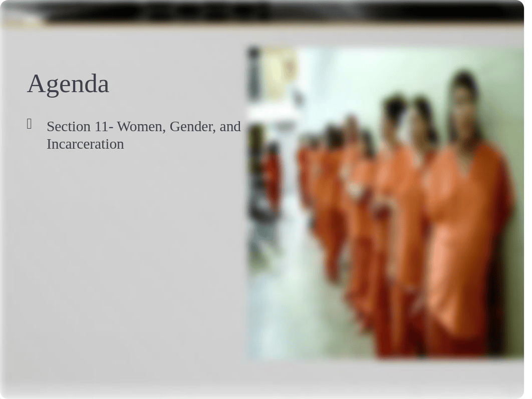 Sec 11- Women, Gender, & Incarceration.pptx_dufoheodzzg_page1