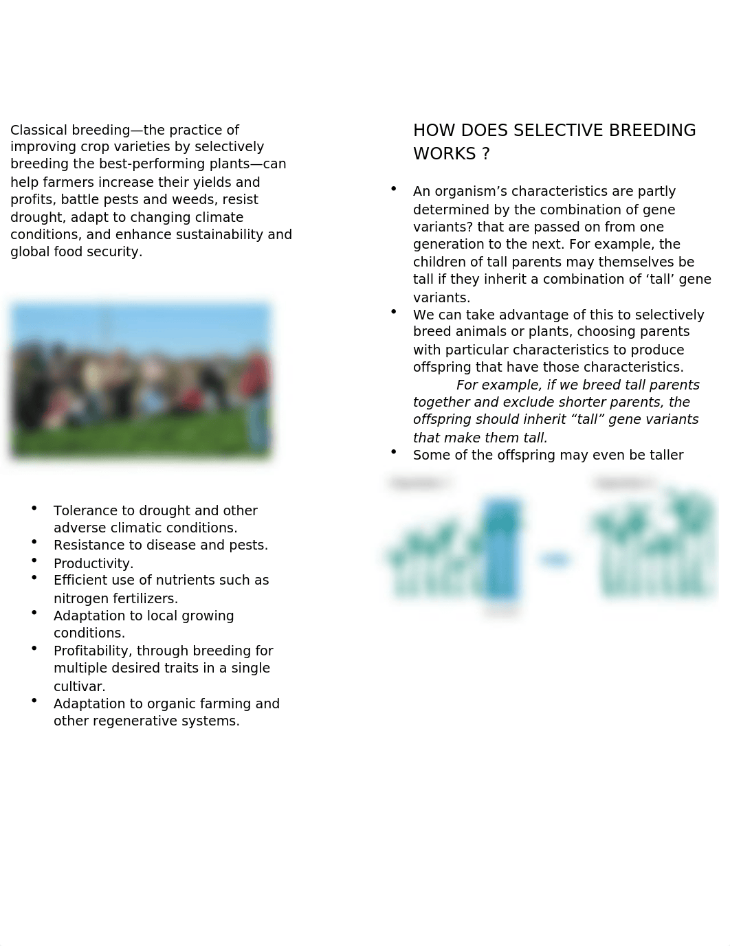 HOW DOES SELECTIVE BREEDING HELP FARMERS.docx_dufouriykvi_page2