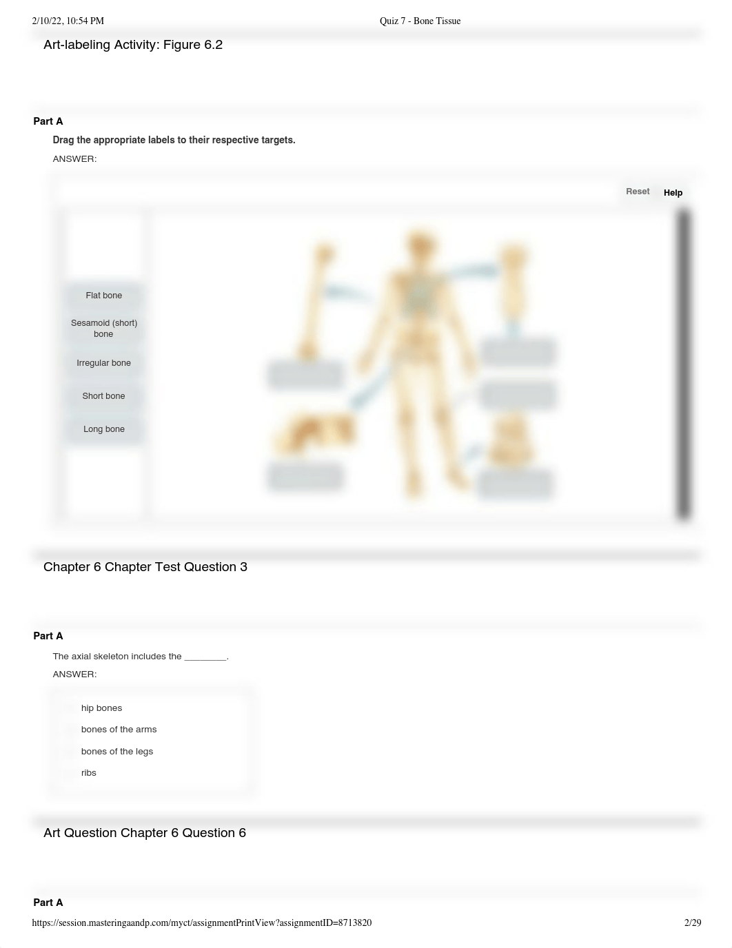 Quiz 7 - Bone Tissue.pdf_dufqy3dj0pk_page2