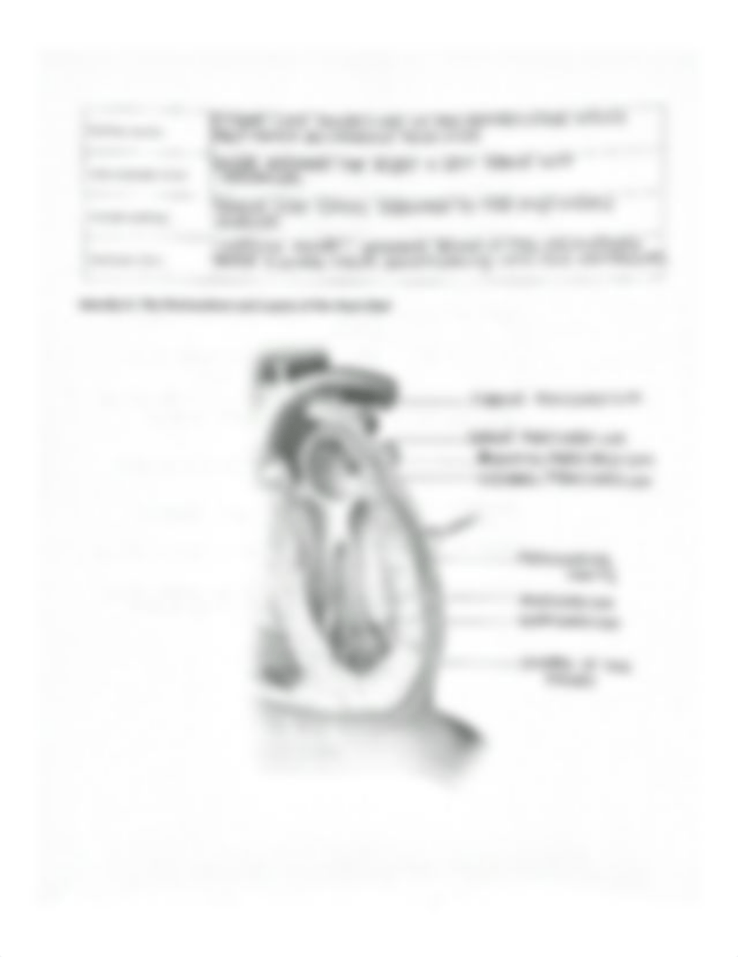 Chapter 17 Homework - Cardiovascular System 1 The Heart.pdf_dufuxq8wj3h_page3