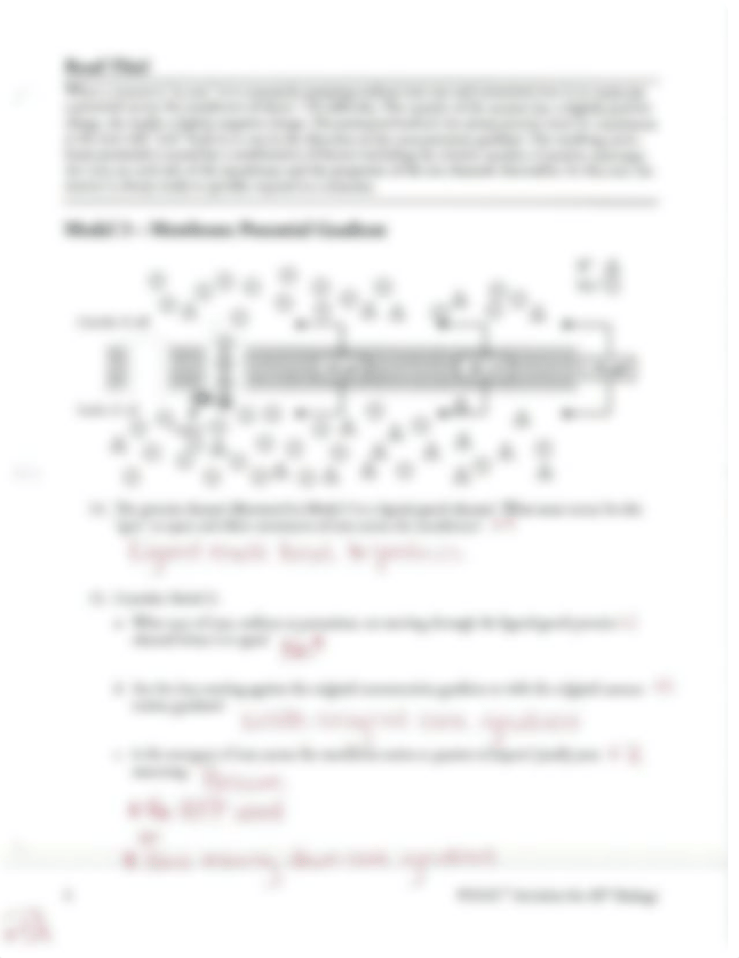 Neuron Structure and Function Worksheet Answers.pdf_dufwfgtnmxi_page4