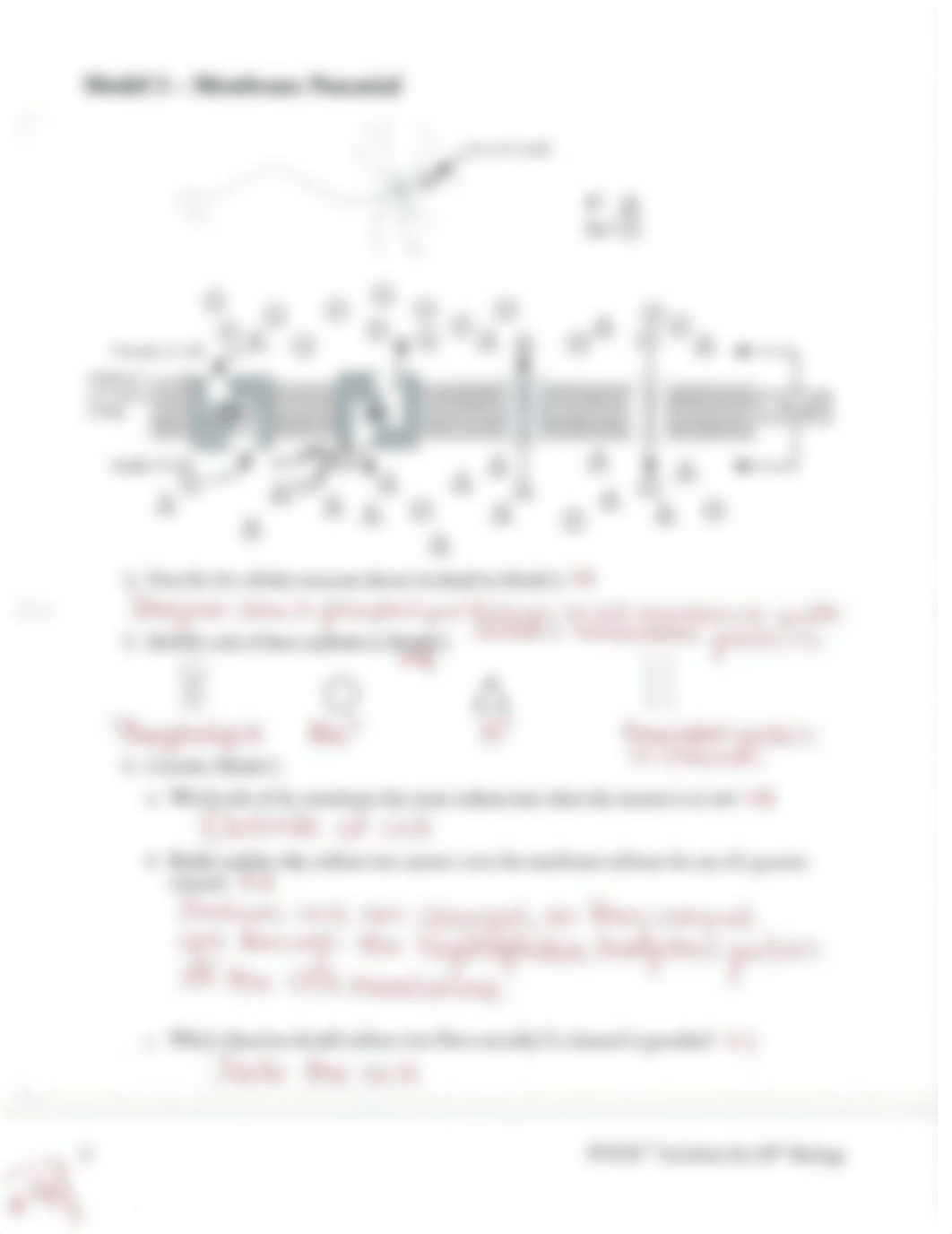 Neuron Structure and Function Worksheet Answers.pdf_dufwfgtnmxi_page2