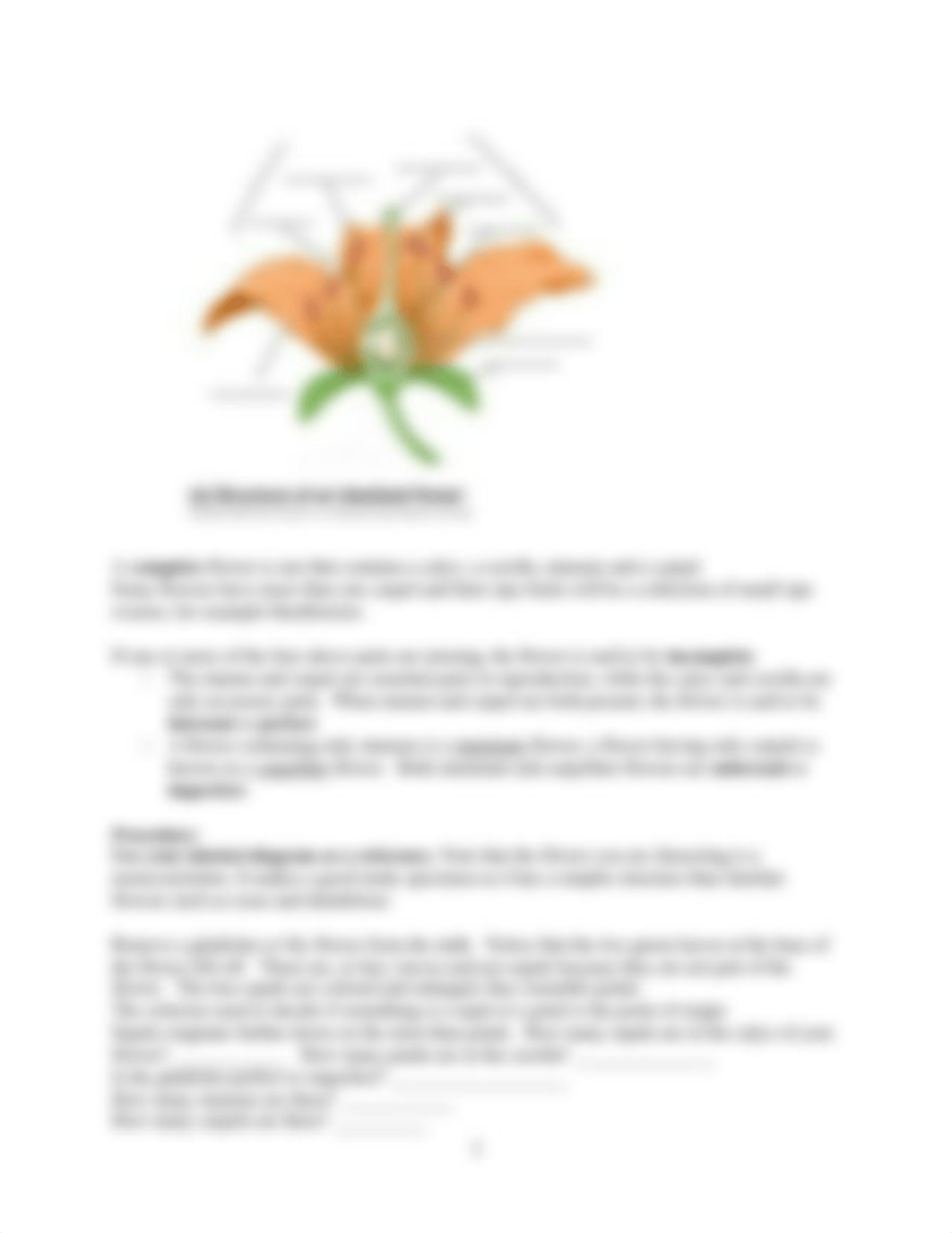 Lab 5_Angiosperm Reproduction.pdf_dug252822m6_page3