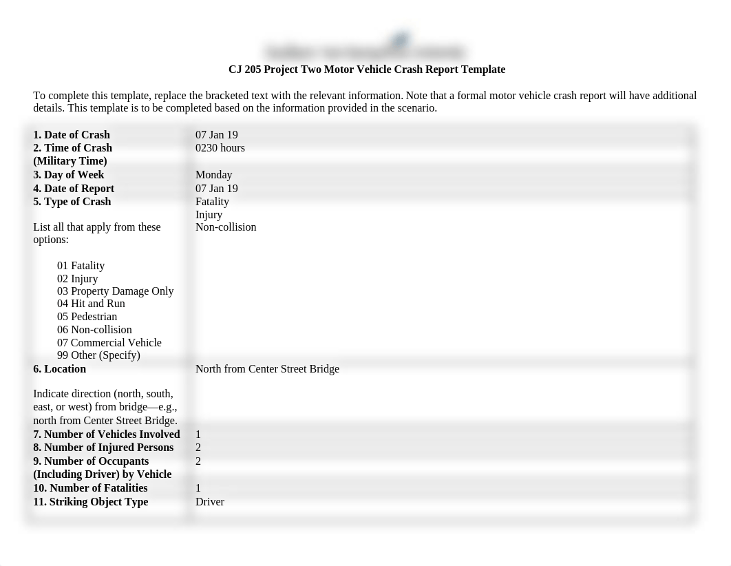 CJ 205 Project Two Motor Vehicle Crash Report Template (1).docx_dug96yp6yeh_page1