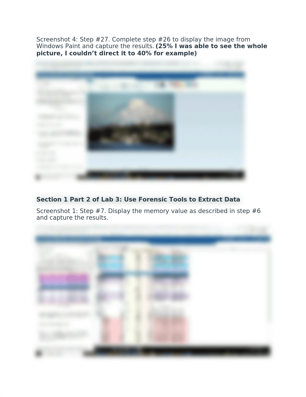 NOS210_Johnson_Fall_2021_Lab 3 Uncovering New Digital Evidence Using Bootable Forensic Utilities.doc_dugf84cgp7b_page3