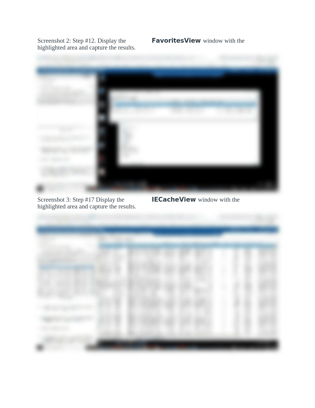 NOS210_Johnson_Fall_2021_Lab 3 Uncovering New Digital Evidence Using Bootable Forensic Utilities.doc_dugf84cgp7b_page4