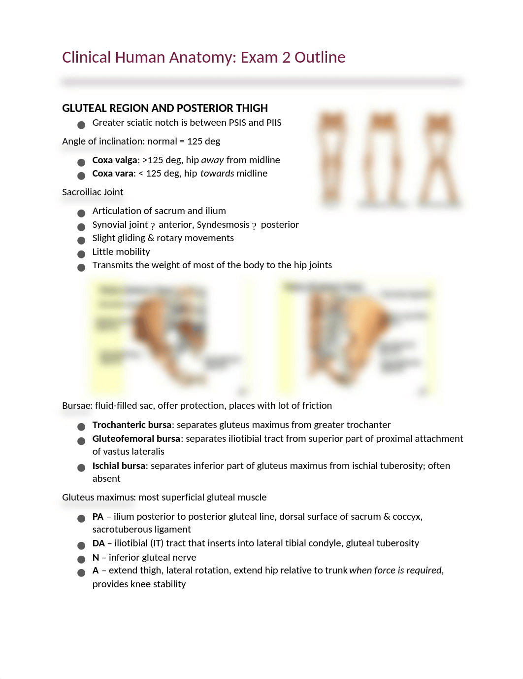 CHA Exam 2 Outline_dugff2y3zr8_page1