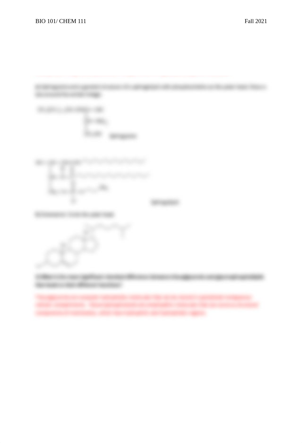 Discussion Problems_8_KEY.pdf_duggdmg96lm_page2