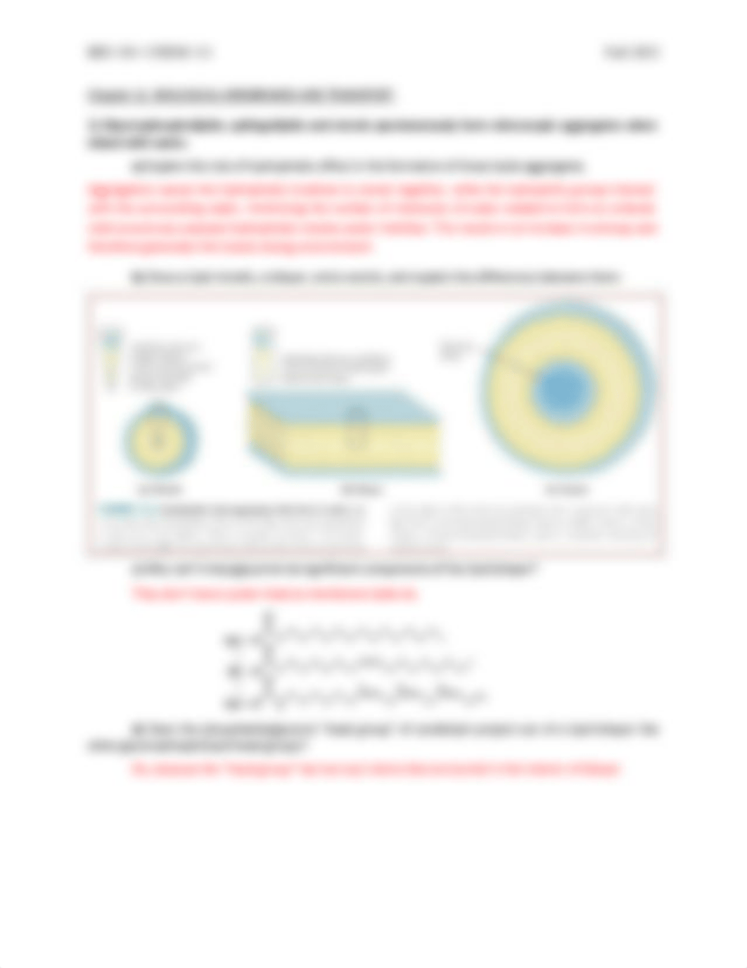 Discussion Problems_8_KEY.pdf_duggdmg96lm_page3