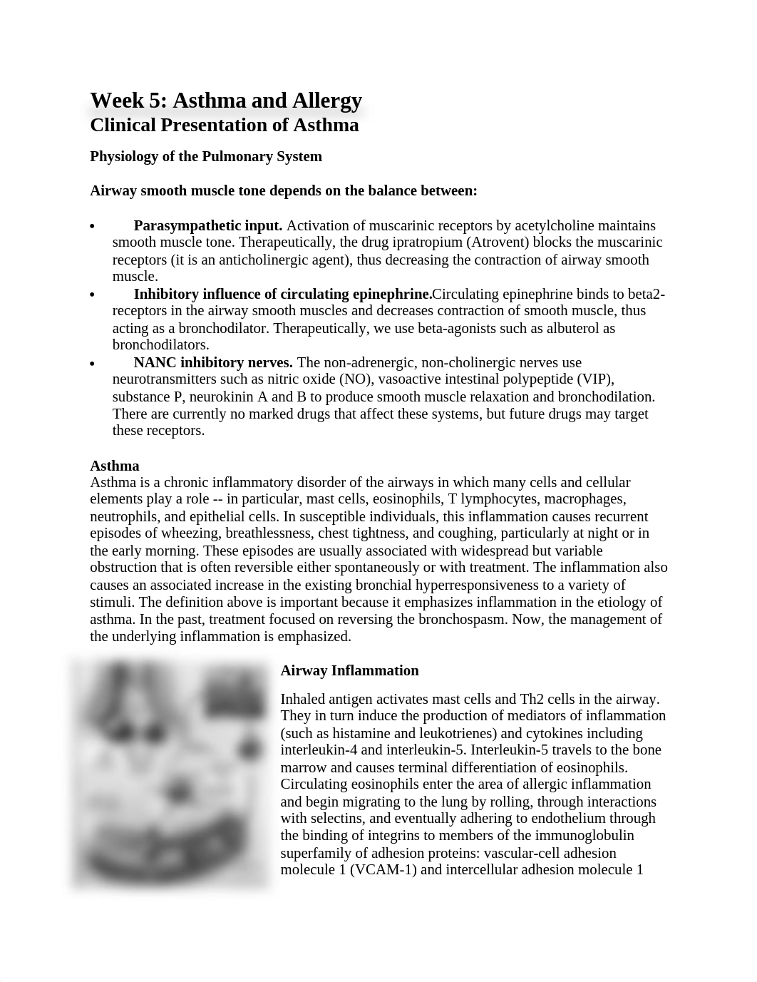 5. Asthma and Allergy.docx_dugp8ax8j55_page1