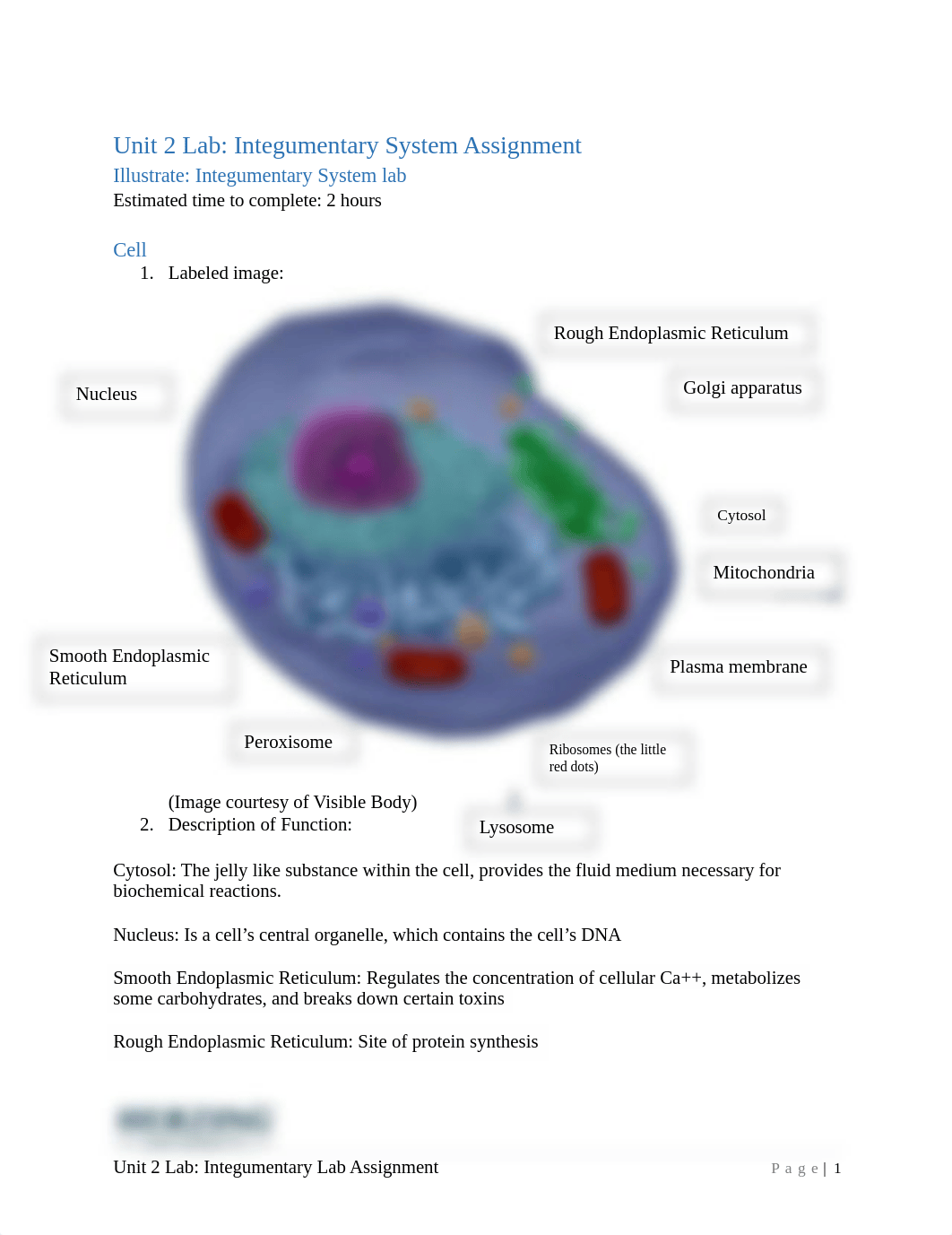 Unit 2 Lab Assignment (1).docx_dugqog22th2_page1