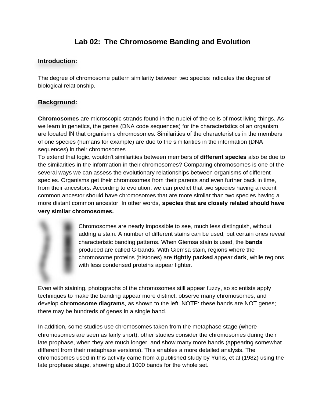 02lab_chromosome.pdf_dugs1jrsl7m_page1