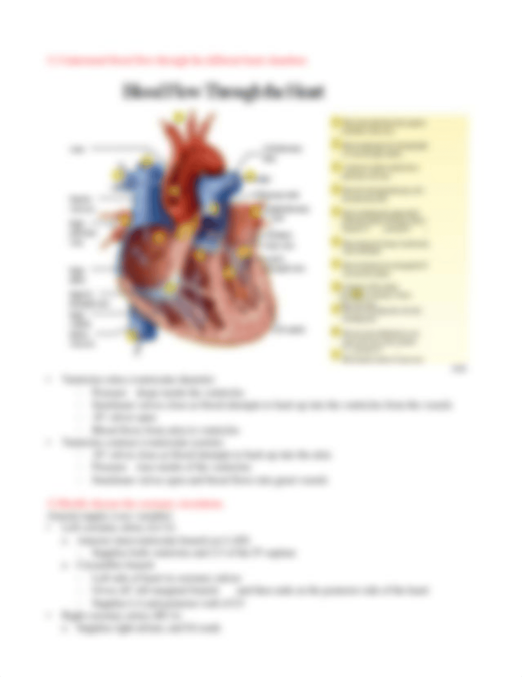 Chapter_19_Review_Guide.doc_dugu01ezv2s_page4