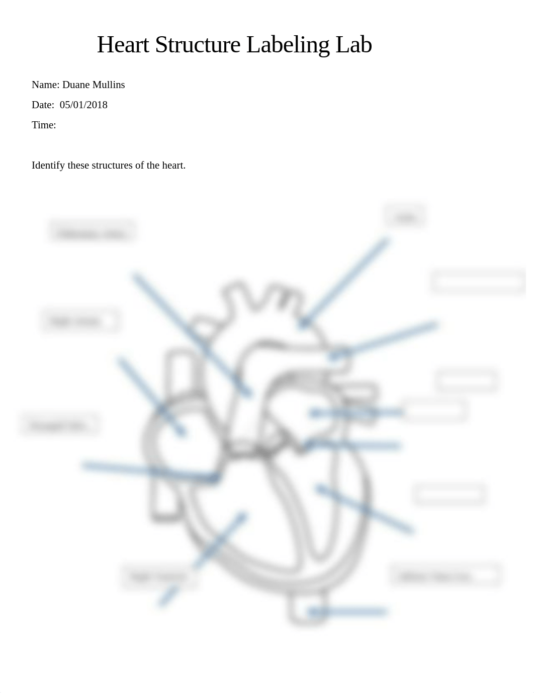 DMullins Lab_HeartStructureLabeling_20171212_AH101.docx (13).docx_dugv6mb4nxn_page1