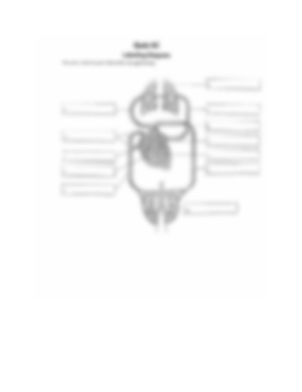 Ch5 Blood Flow Diagram_dugxupk6b64_page1