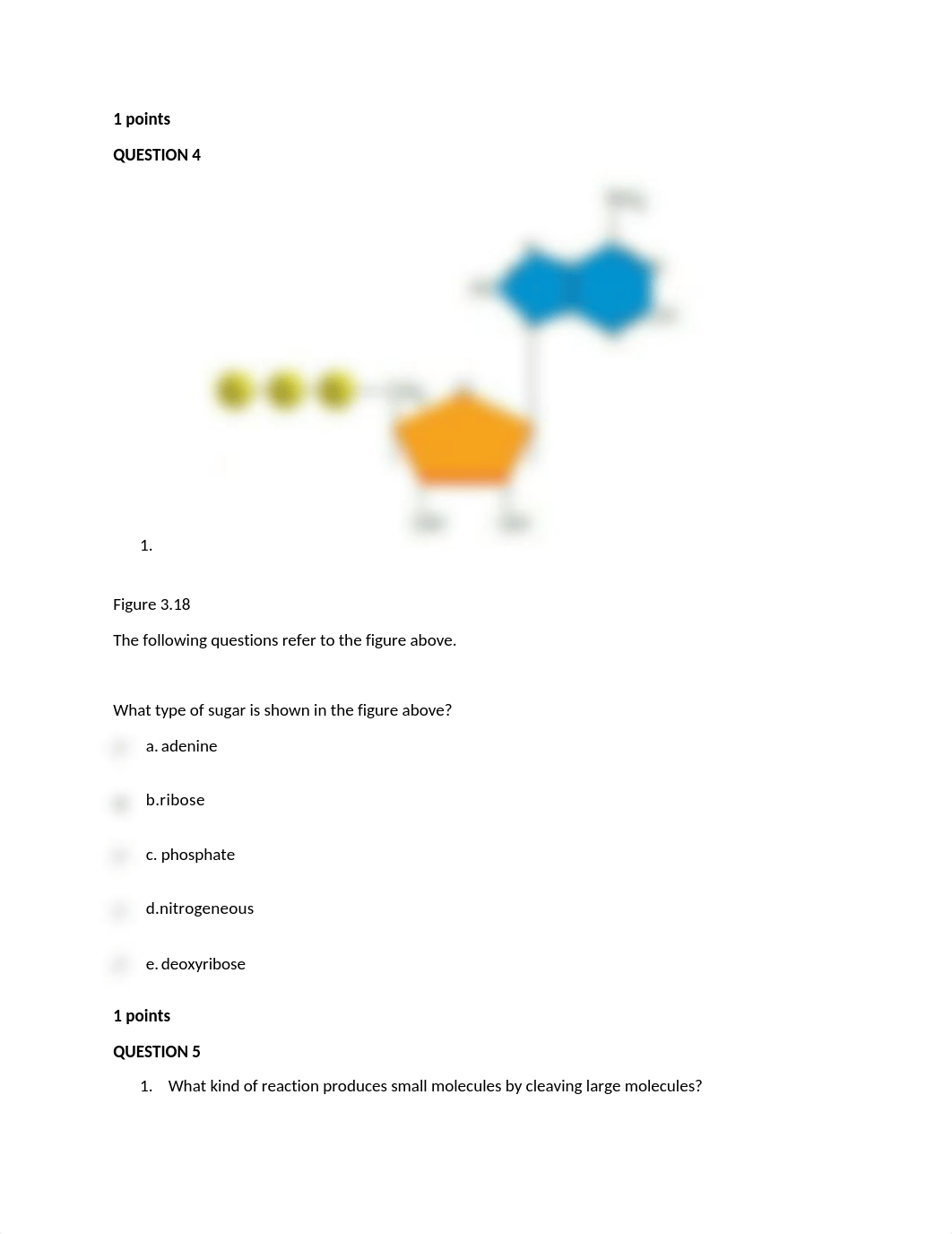 Biology Exam 1.docx_duh2a4zrtk4_page2