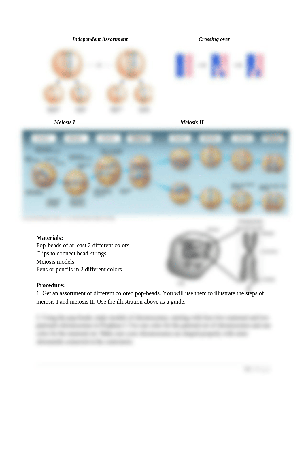 LabExercise8 (1).docx_duh35pbryab_page2