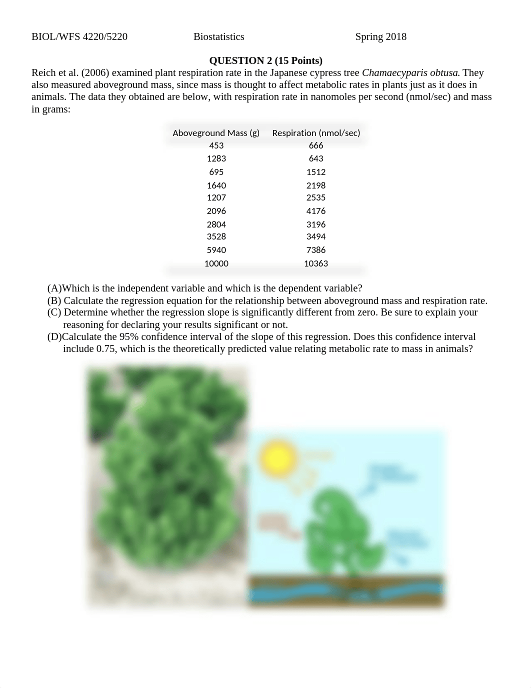 Biostats Assignment 6 Spring 2018.docx_duh4r39am1d_page2