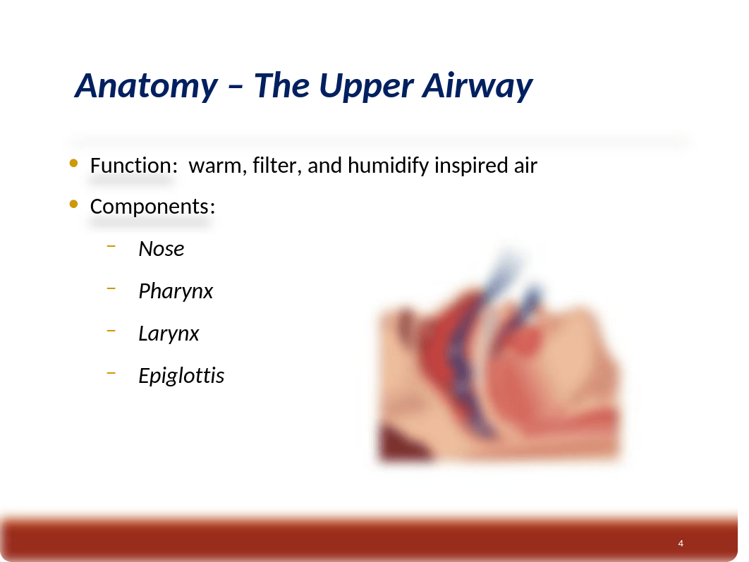 Oxygenation and Perfusion.ppt_duhd8ri156d_page4