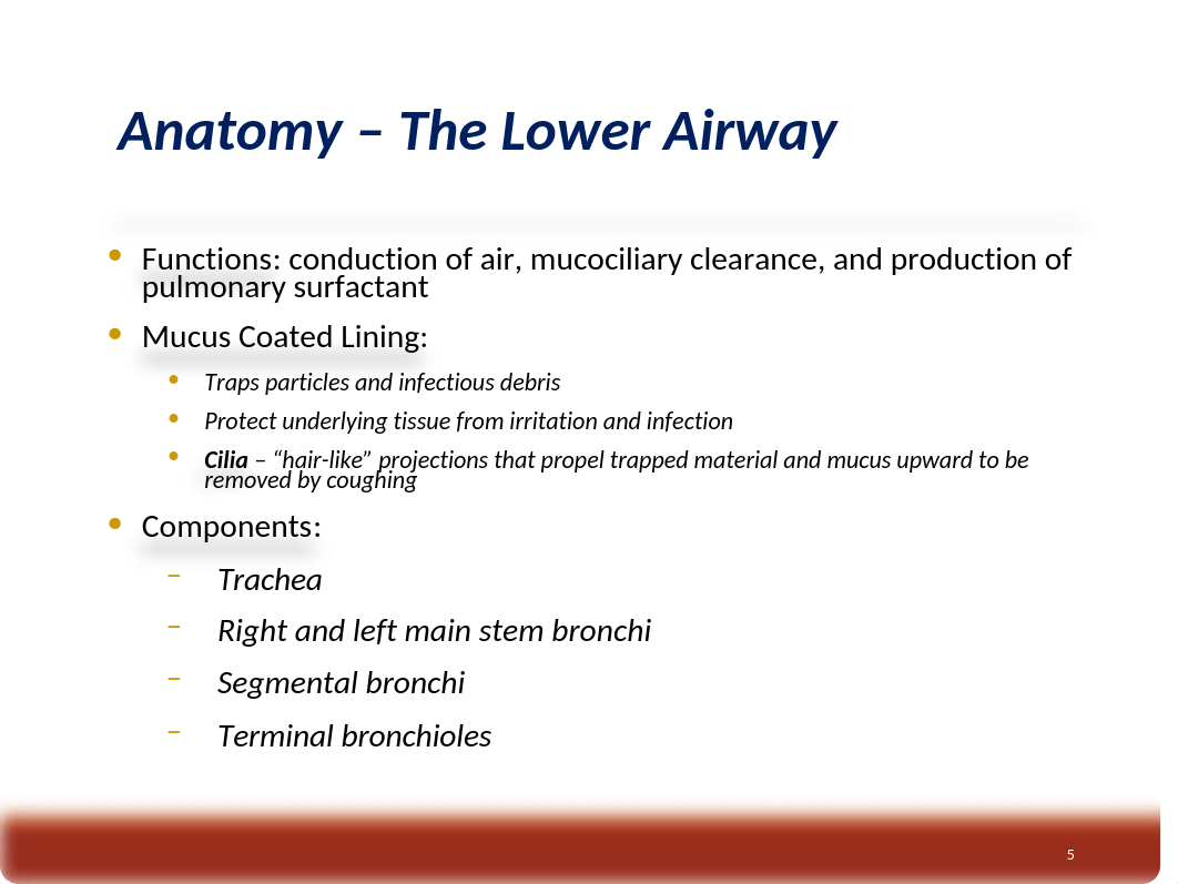 Oxygenation and Perfusion.ppt_duhd8ri156d_page5