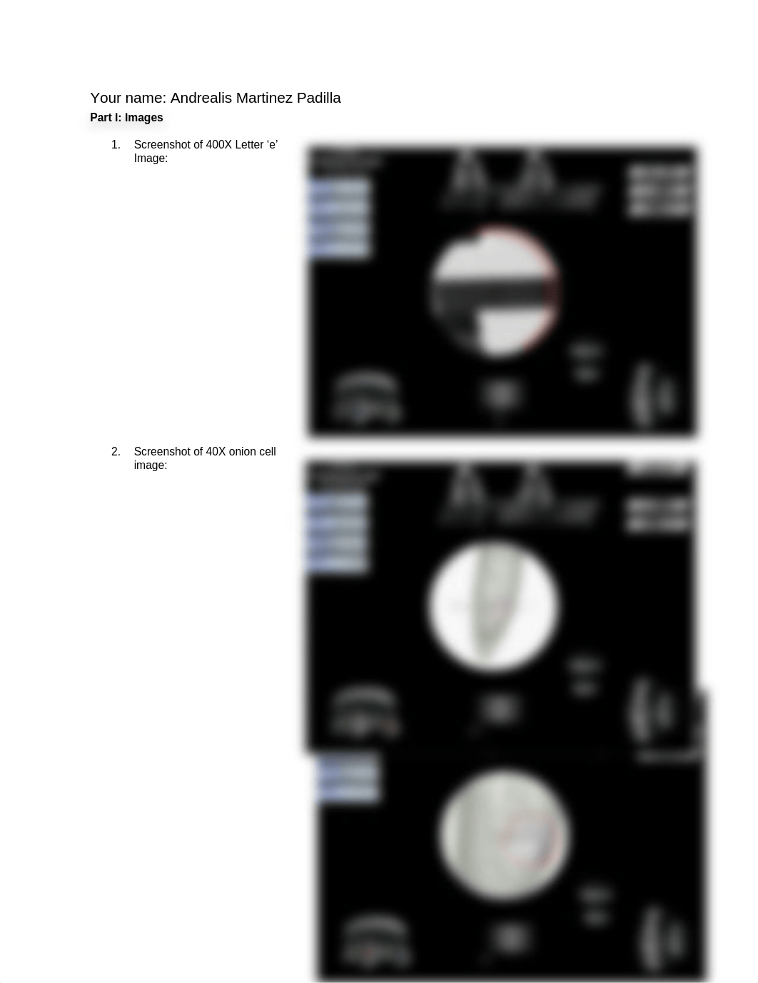 Week 2 Lab microscope BSC109.docx_duhdei9x80b_page1