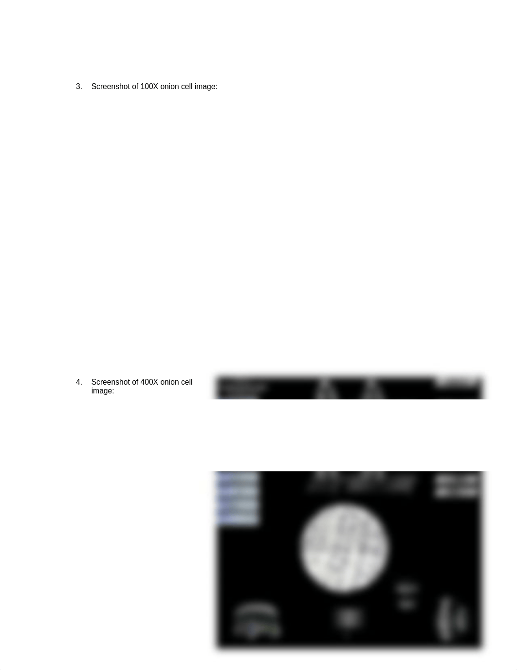 Week 2 Lab microscope BSC109.docx_duhdei9x80b_page2