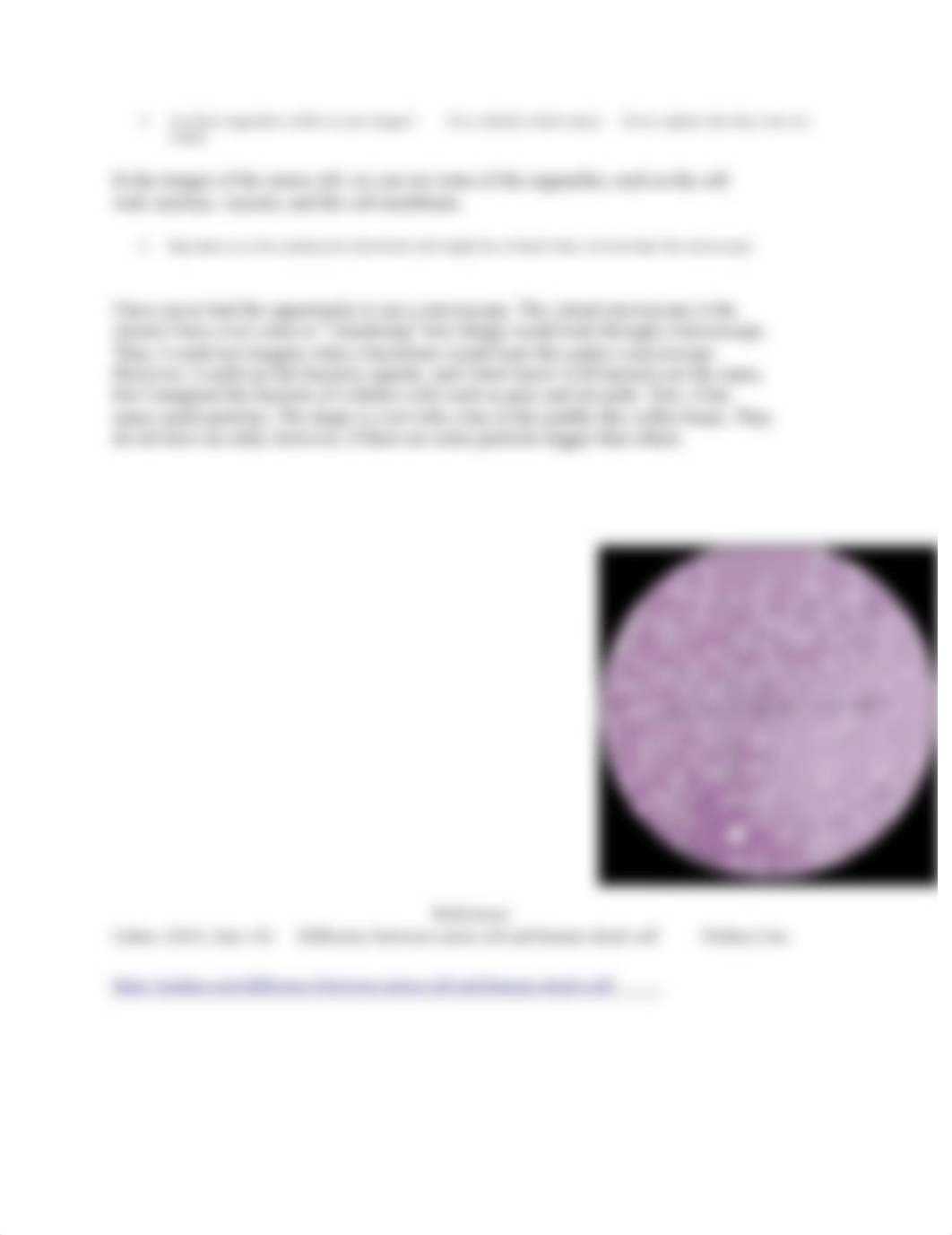 Week 2 Lab microscope BSC109.docx_duhdei9x80b_page4