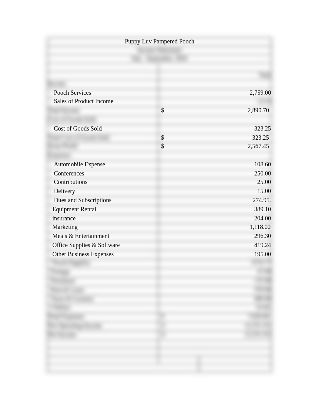 CH09- Cash basis income statement.xlsx_duhphqmpugp_page1