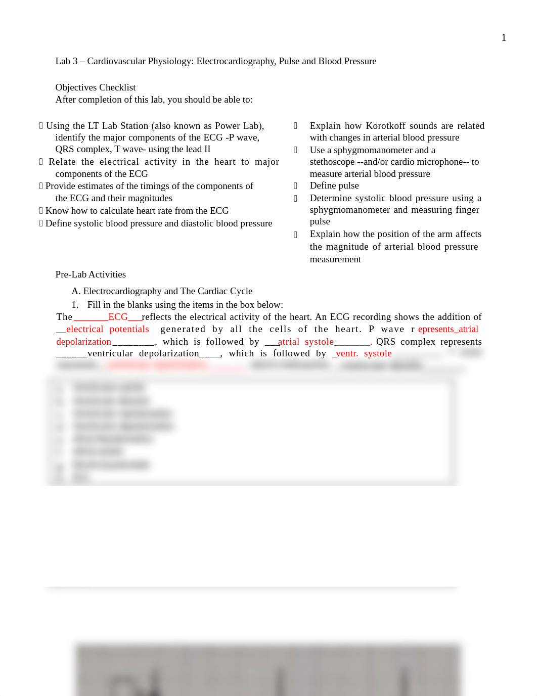 Bio 24 Lab 3 worksheet.docx_duhrcvuhakl_page1