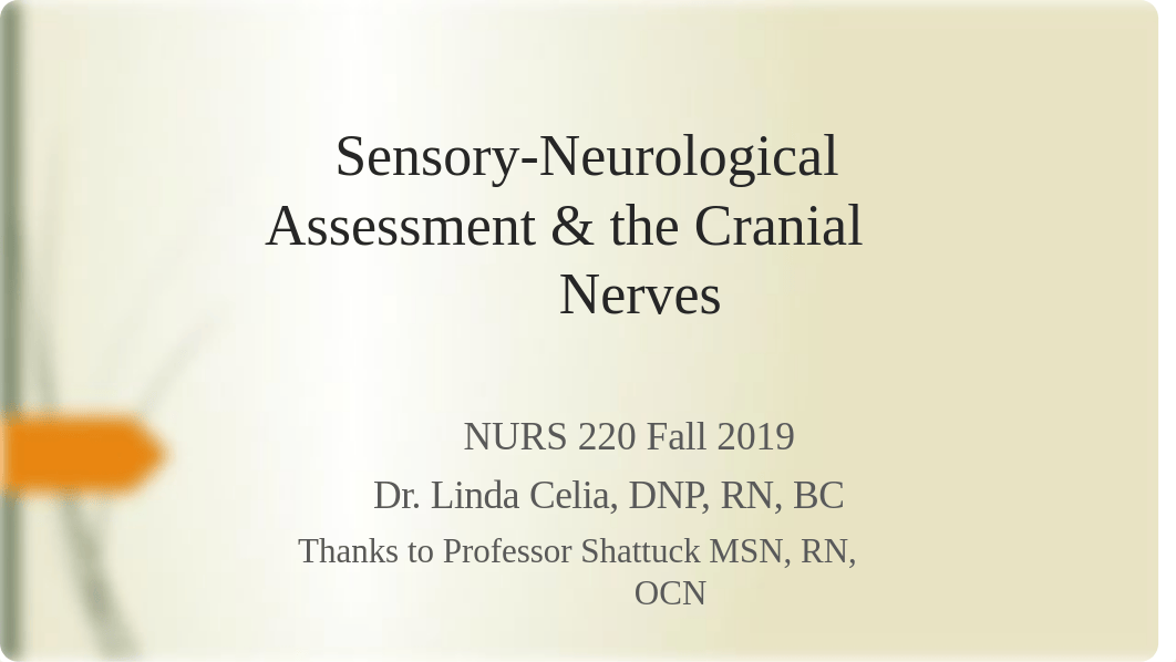 Neurological Assessment & the Cranial Nerves (student 2019  lmc).pptx_duhymp6f31e_page1