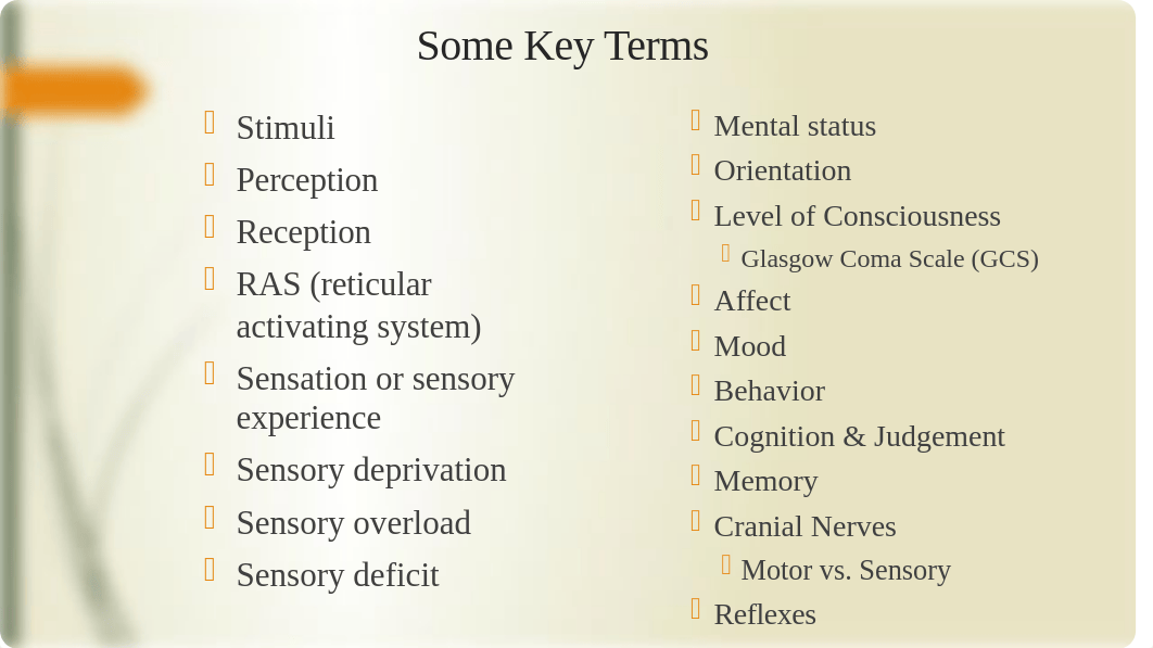 Neurological Assessment & the Cranial Nerves (student 2019  lmc).pptx_duhymp6f31e_page3